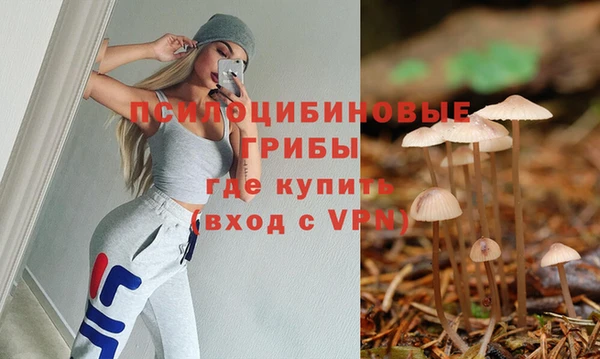 ALPHA-PVP Аркадак