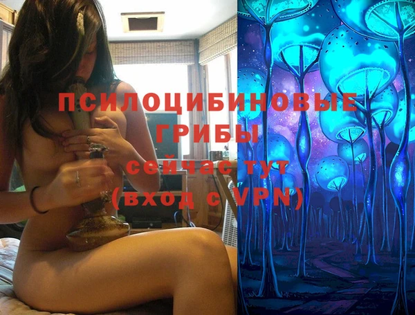 ALPHA-PVP Аркадак