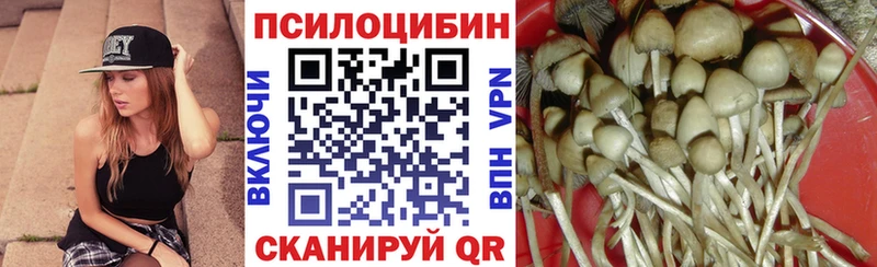 Псилоцибиновые грибы GOLDEN TEACHER  Купить где  Сунжа 